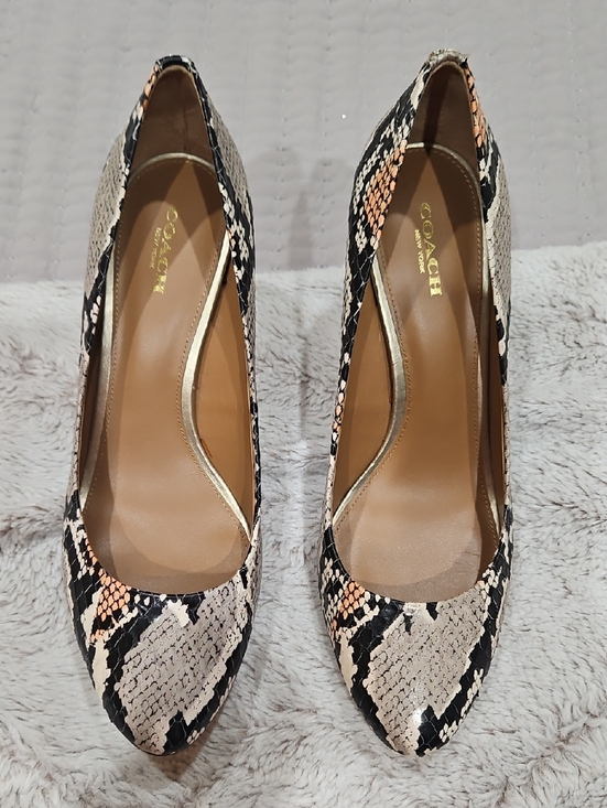 Coach Shoes - Coach Snake-Print Pointed Toe Pumps in Black and Cream with Peach Accents